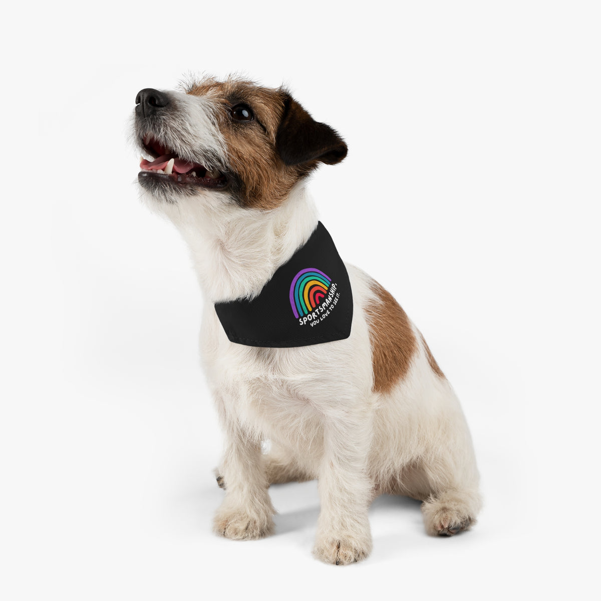 Sportsmanship Rainbow Pride Pet Bandana Collar