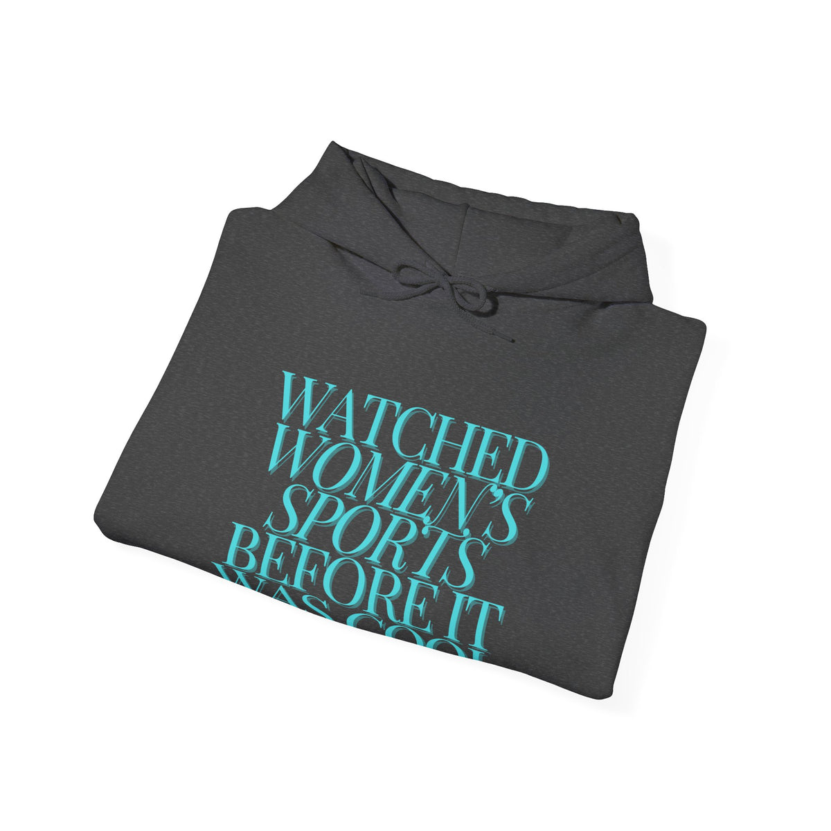 Watched Women's Sports Before It Was Cool Hooded Sweatshirt